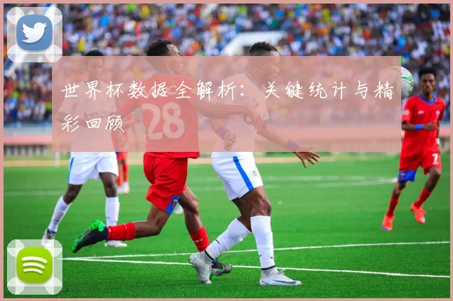 世界杯数据全解析:关键统计与精彩回顾