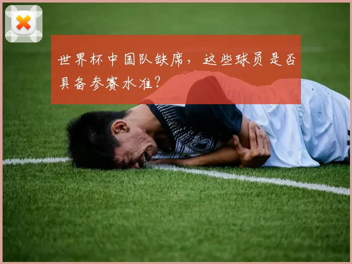 世界杯中国队缺席,这些球员是否具备参赛水准?