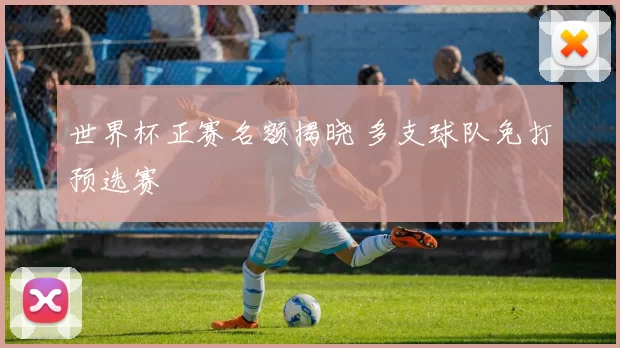 世界杯正赛名额揭晓 多支球队免打预选赛
