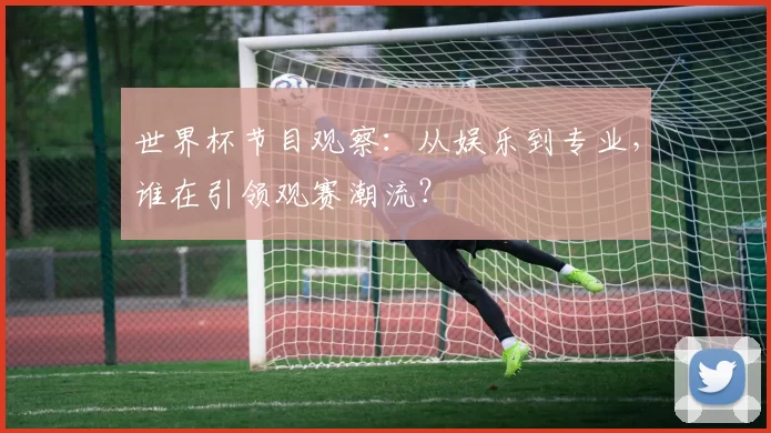世界杯节目观察：从娱乐到专业，谁在引领观赛潮流？