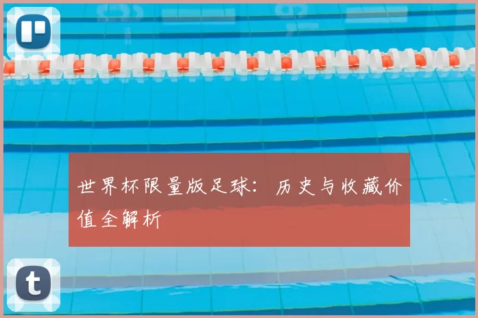 世界杯限量版足球：历史与收藏价值全解析