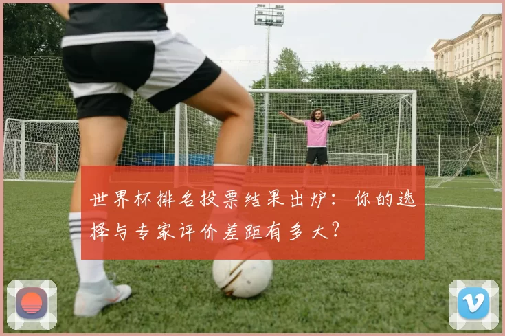 世界杯排名投票结果出炉：你的选择与专家评价差距有多大？