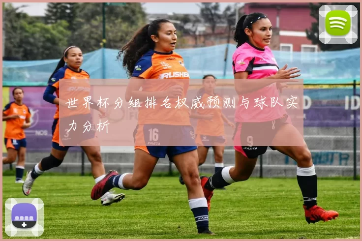 世界杯分组排名权威预测与球队实力分析