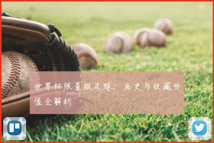 世界杯限量版足球：历史与收藏价值全解析
