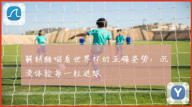 解锁酷喵看世界杯的正确姿势，沉浸体验每一粒进球