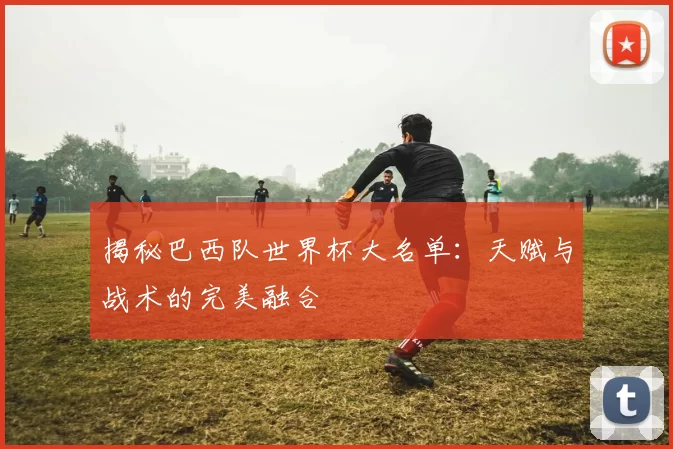 揭秘巴西队世界杯大名单:天赋与战术的完美融合