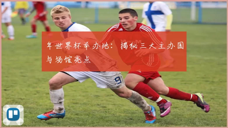 年世界杯举办地：揭秘三大主办国与场馆亮点
