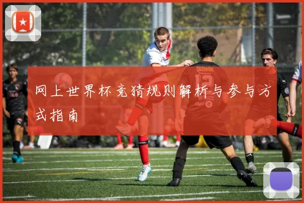 网上世界杯竞猜规则解析与参与方式指南