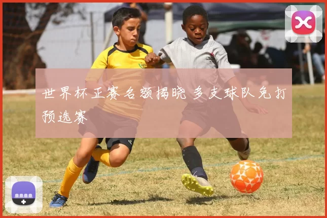 世界杯正赛名额揭晓 多支球队免打预选赛